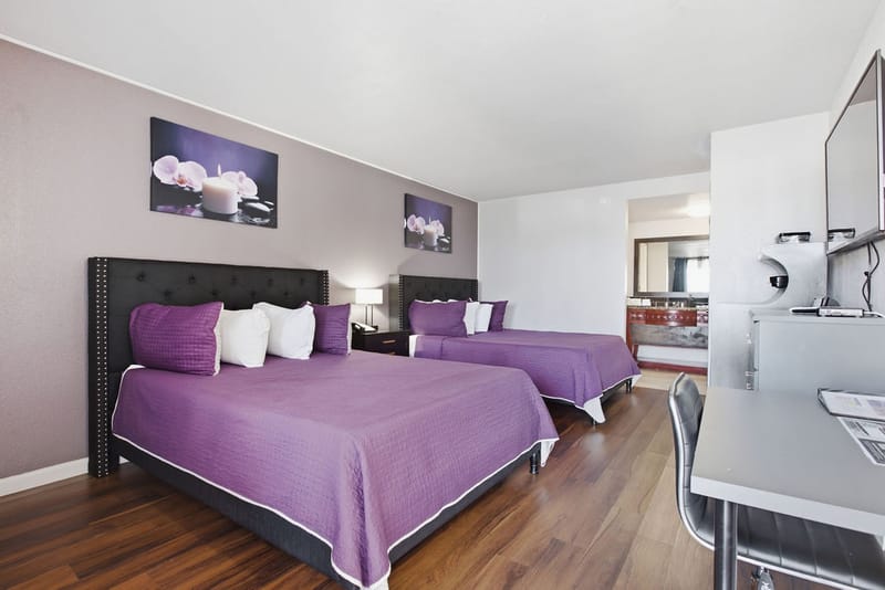 Deluxe Two Queen Beds Room variant with purple bedspreads and black upholstered headboards
