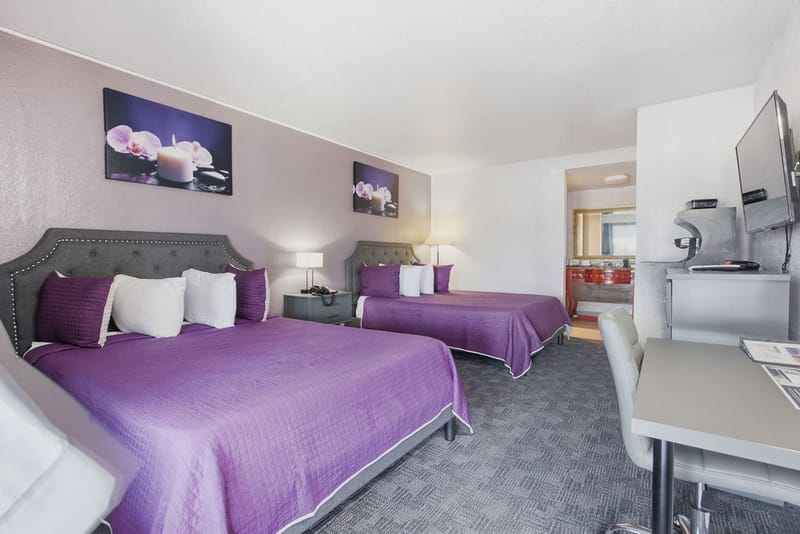 Premium Two Queen Beds Room with tufted gray headboards and violet bedspreads